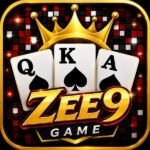 ZEE 9 Game